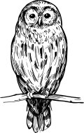 /image/design01_img_02.png
