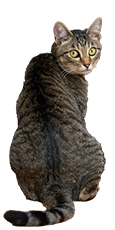 /image/design02_img02.png