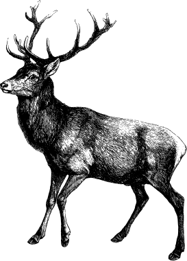 /image/design02_img_03.png