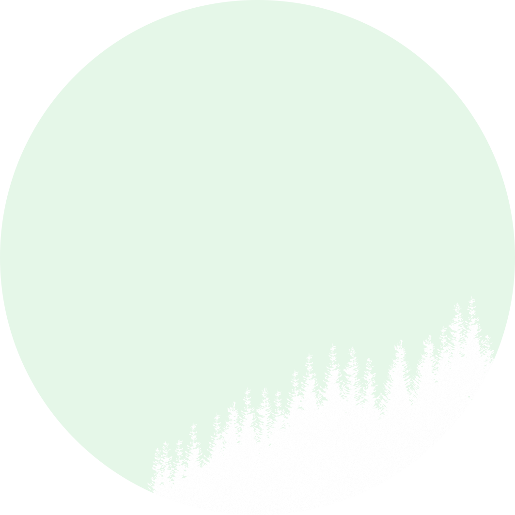 /image/design03_bg_01.png