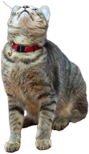 /image/design05_img_02.png