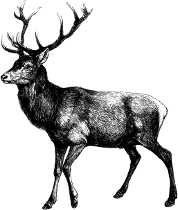 /image/design06_img_01.png