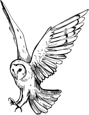 /image/design09_img_06.png