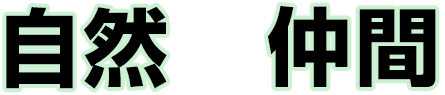 /image/design09_title_01.png