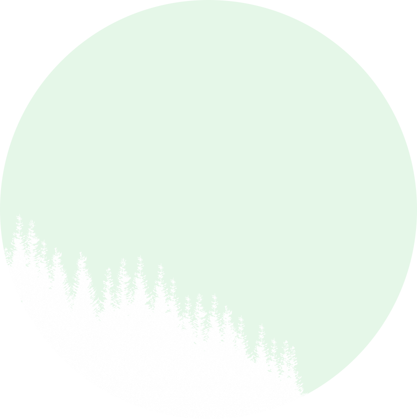 /image/design11_bg_01.png